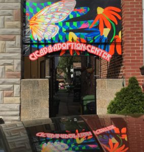 Bright Cicada Adoption Center Sign at Formstone Castle